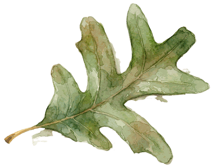 Hoja en acuarela clásica